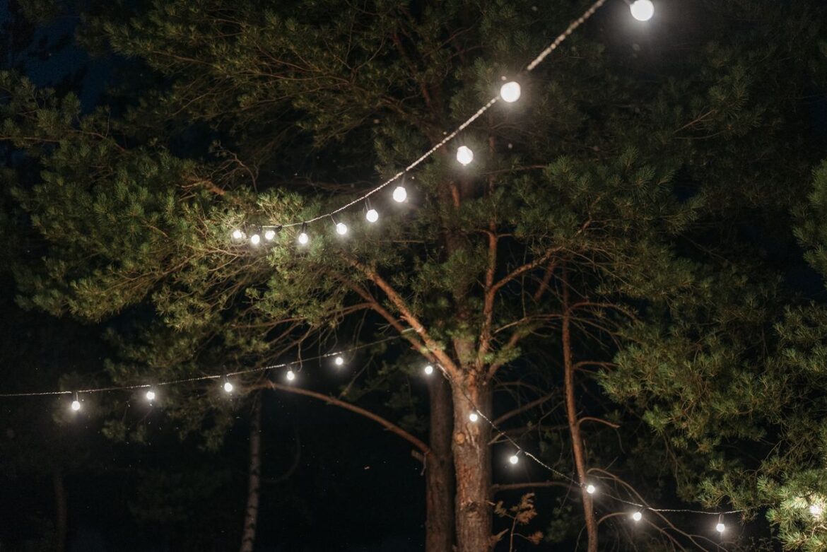 So wird der Garten mit Licht stimmungsvoll und praktisch